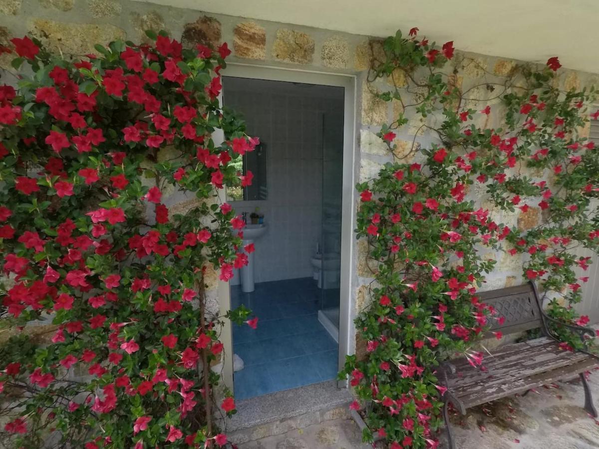 Valadas Guest House Canedo  المظهر الخارجي الصورة
